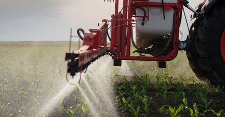 Nie tylko pestycydy. Setki chemikaliów mogą szkodzić bakteriom jelitowym