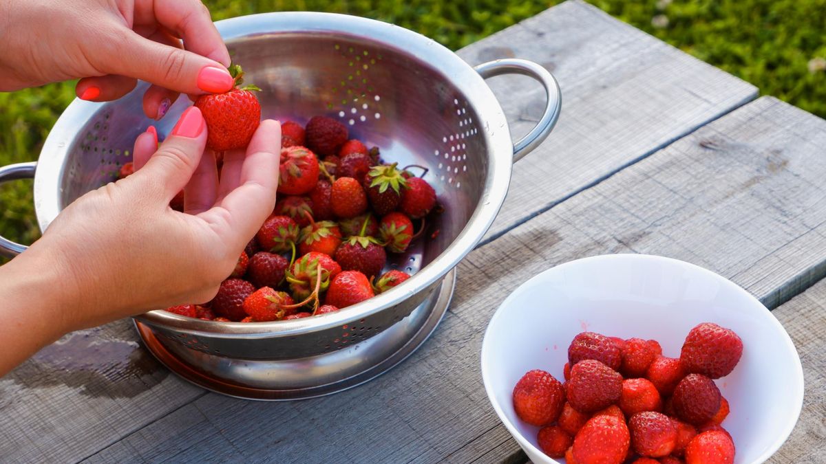 Źródłem cennych polifenoli są owoce jagodowe
