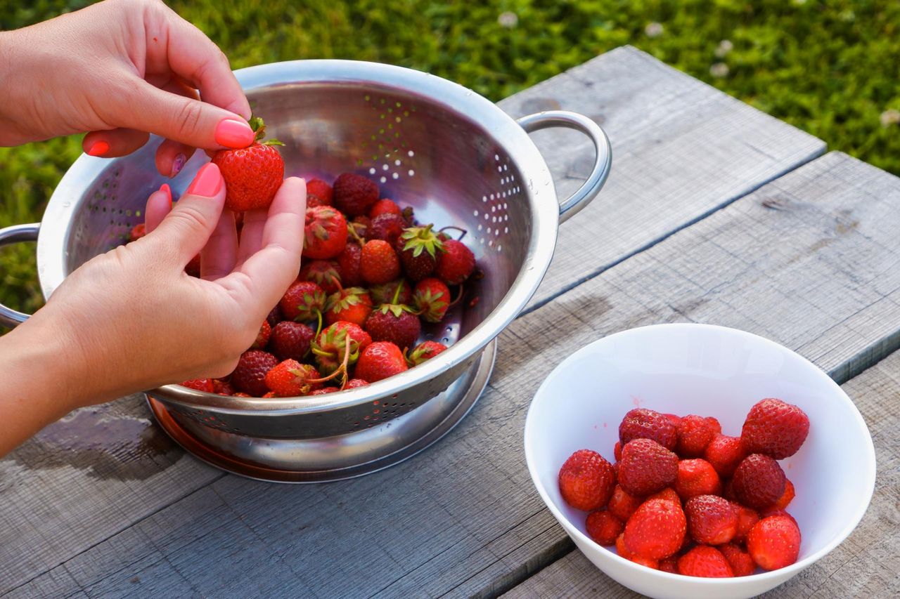 Chronią mózg przed starzeniem. Mogą też zapobiegać chorobie Alzheimera