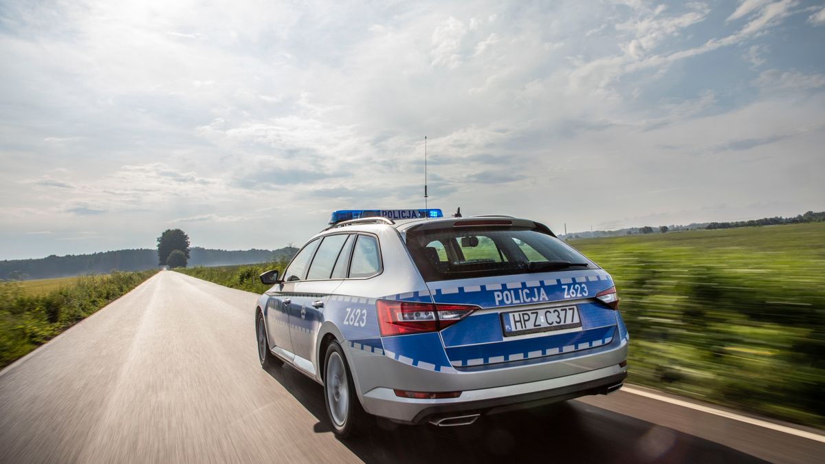 Zdjęcie ilustracyjne do artykułu