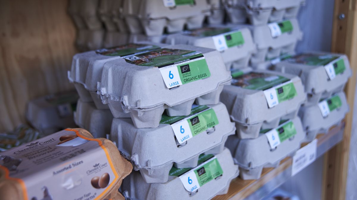 LONDON, UNITED KINGDOM - JANUARY 11: Eggs put up for sale are seen in a supermarket as the United Kingdom struggles with the highest inflation rate of the last 40 years, in the city of London, on January 11, 2023. Market coupons have started to be distributed to the people with low-income, who are having difficulties due to the increasing living costs. Vouchers issued by local governments will be valid at major supermarkets such as Tesco, Asda and Morrisons. (Photo by Gultekin Bayir/Anadolu Agency via Getty Images)