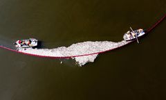 Rząd znalazł winowajcę skażenia Odry. Ekspert kategorycznie zaprzecza