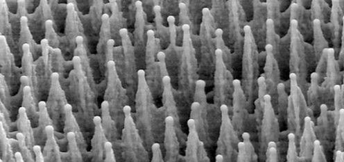 Matryca o czułości ISO 200 000? Proszę bardzo! 1