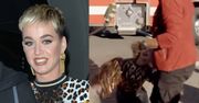 Katy Perry ZEMDLAŁA podczas ewakuacji z planu "Idola"!