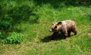 Turyści rezygnują z wyjazdów w Bieszczady. Przedsiębiorcy liczą straty