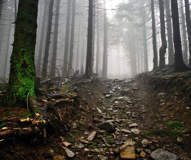 Beskidy. Niepewna pogoda odstraszyła turystów