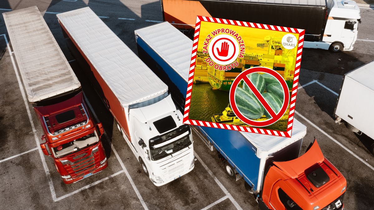 Służby zatrzymały transport żywności z Chin