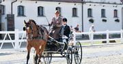 MAZOpiknik w Stadzie Ogierów w Łącku – święto rodziny, tradycji i dobrej zabawy!