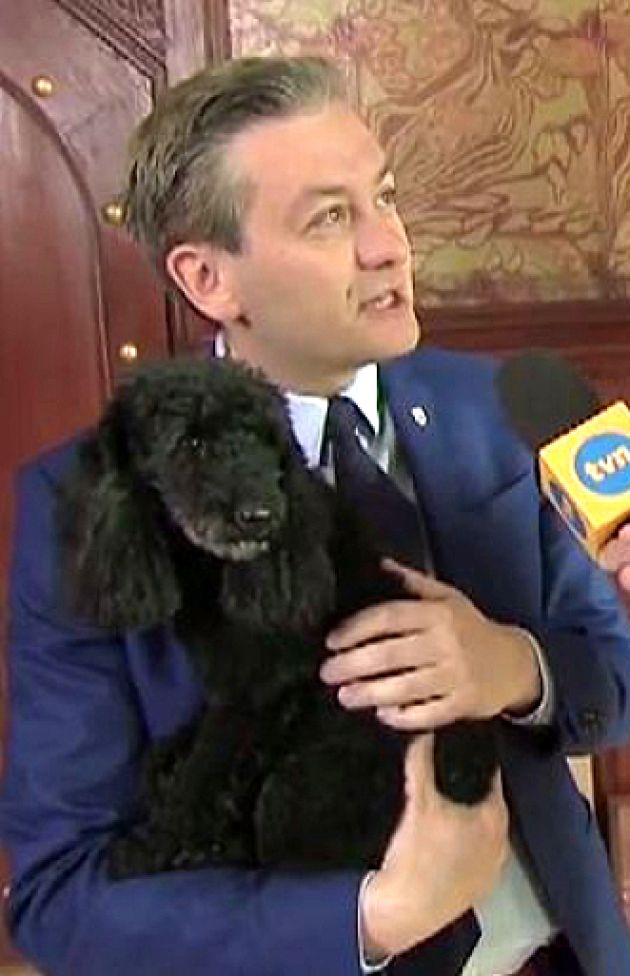 Obraz