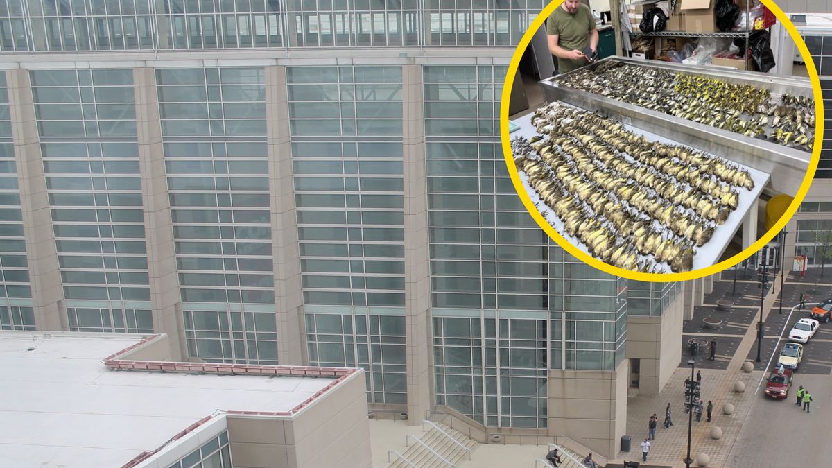 Tragiczna noc w Chicago 