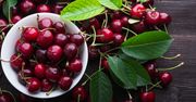 Wiśnie kontra czereśnie. Sprawdzamy, czym się różnią te owoce (WIDEO)