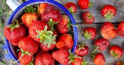 Truskawki z Biedronki i Lidlu zbadano w laboratorium. Co było w truskawkach z popularnych dyskontach?