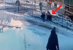 Rosjanka przesadziła. Atak nastąpił błyskawicznie