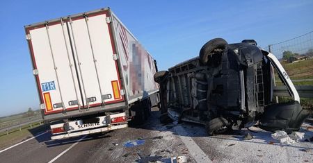 Seria zdarzeń na ekspresówce. Najpierw łoś, potem lawina kolizji – policjant trafił do szpitala