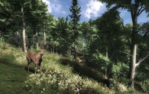 Jeleń + Crysis = The Hunter 2
