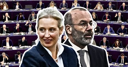 Skandal w Niemczech. Europejskie centrum współpracuje z AfD