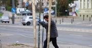 Gorzów: 106 nowych drzew w tydzień. Ruszają jesienne nasadzenia