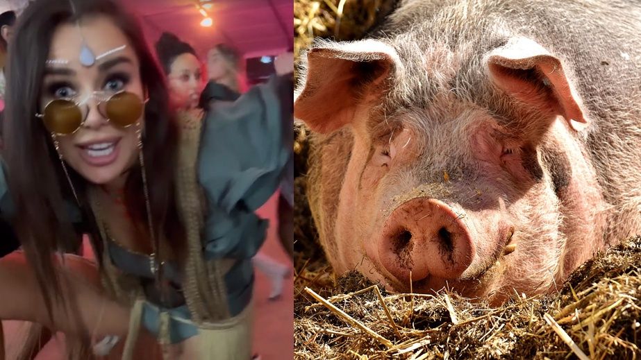 Natalia Siwiec udaje świnię na Coachelli 