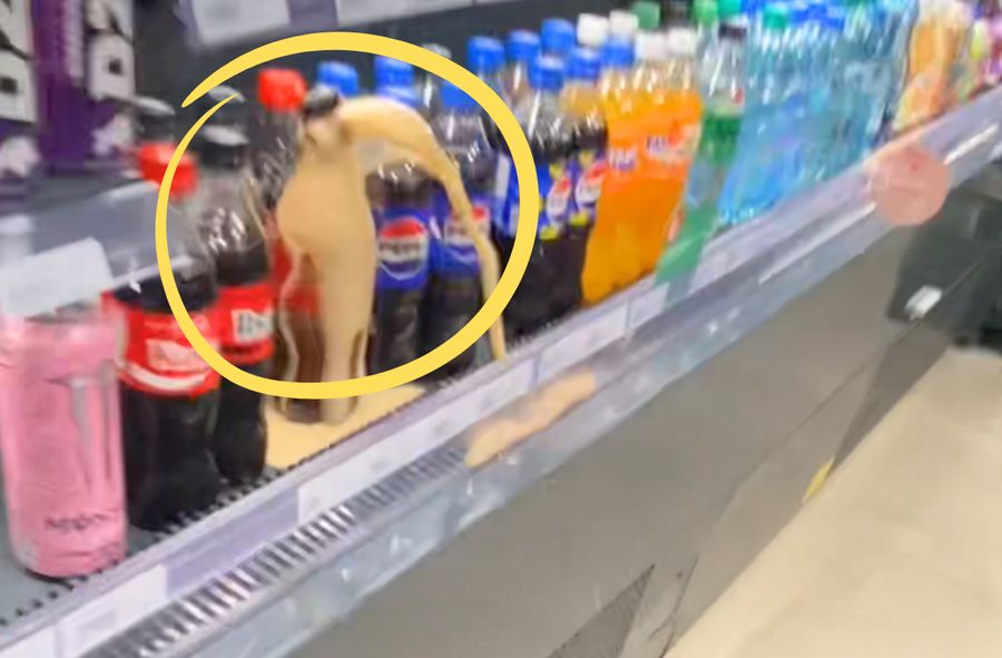 Szokująca zabawa dzieci na stacji benzynowej