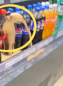 Szokująca zabawa dzieci na stacji paliw. "Biedni pracownicy"