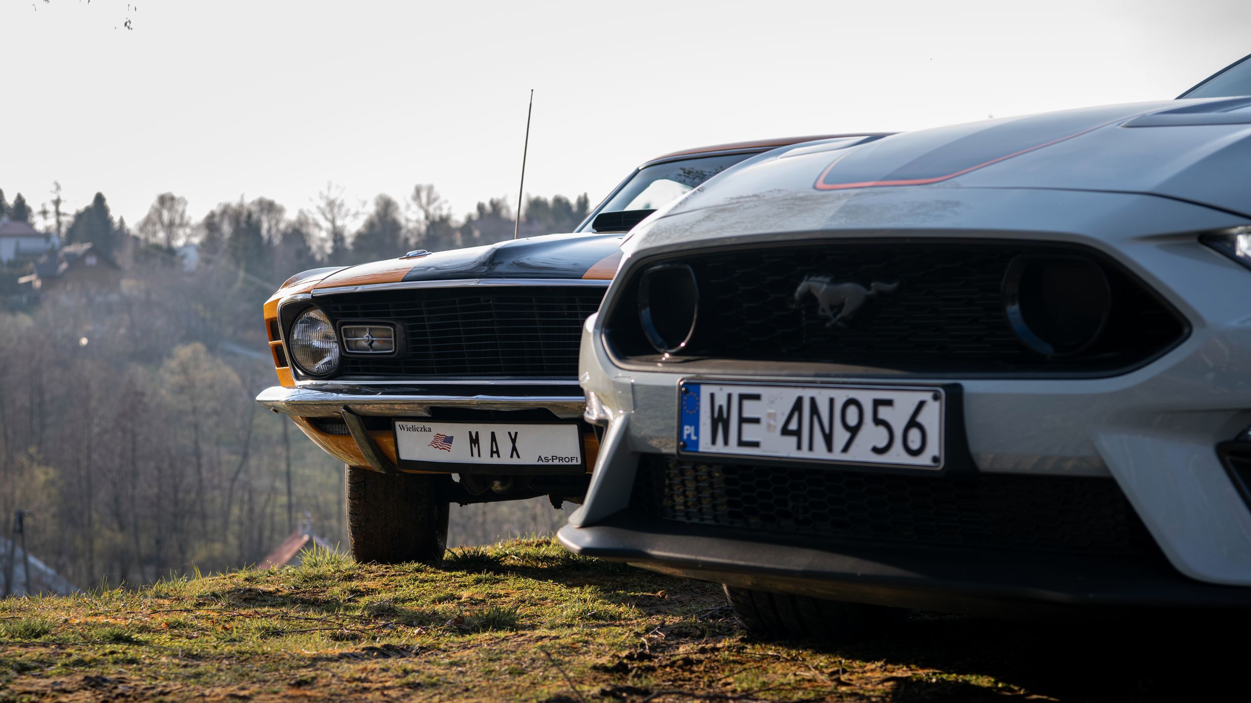 Ford Mustang Mach 1 vs. Mustang Mach 1 428 Cobra Jet