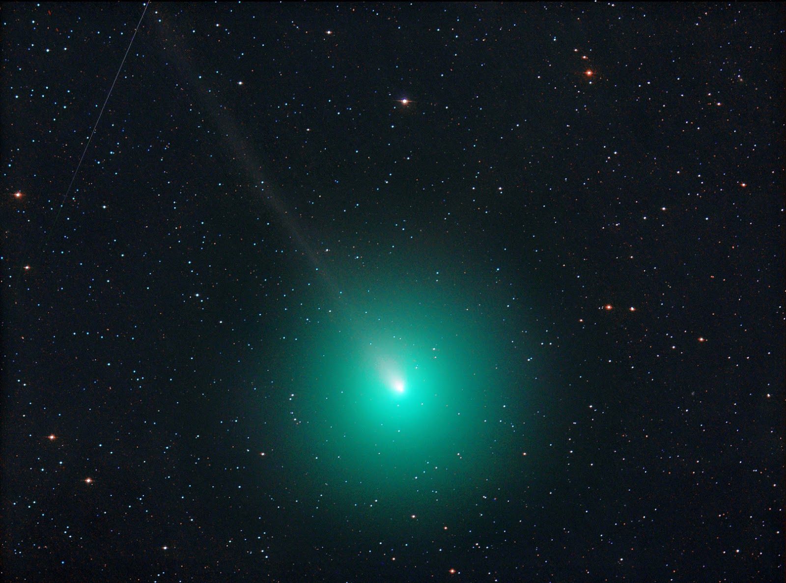 W wigilijny wieczór wypatruj komety - grudniowe atrakcje nocnego nieba 2