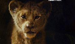 Użytkownicy HBO Max bez Disneya. „Król Lew” tylko do końca marca