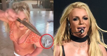 Taniec Britney Spears z NOŻAMI przeraził jej fanów. Apelują, by ODEBRAĆ JEJ PSY! "Biegają przestraszone. Trzeba je ocalić"