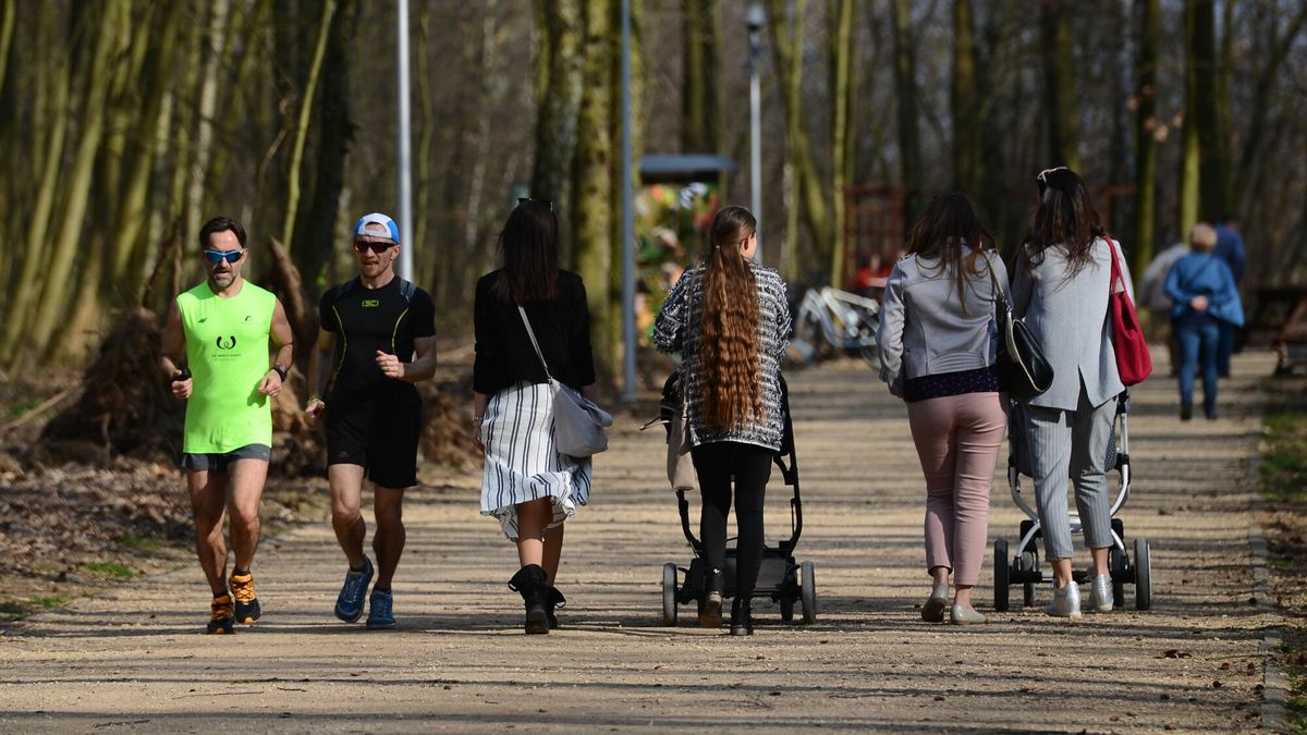 Rodzinnie niedziele w parku
Fot. Adam Staskiewicz / East News. Sieradz 08.04.2018. Park im. Adama Mickiewicza. Niedziela wolna od handlu i piekna wioenna  pogoda powoduje, ze parki zaroily sie od spacerujacych rodzin, a place zabawa zapelnily sie dziecmi. N/Z niedzielny relaks w parku i na placach zabaw dla calych rodzin
Adam Staskiewicz