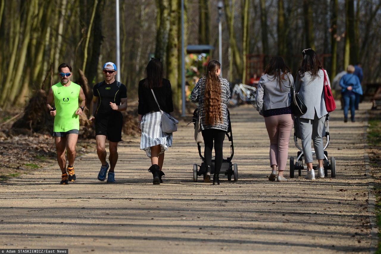 Nowy model życia w Polsce. Dane GUS pokazują wielką zmianę jak na dłoni