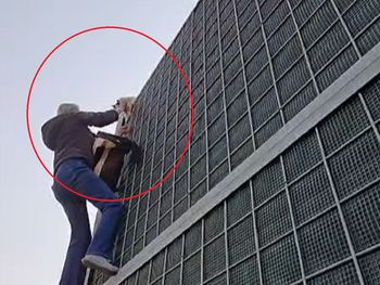 Tak uratowała kotkę z pułapki. Nagranie podbiło internet