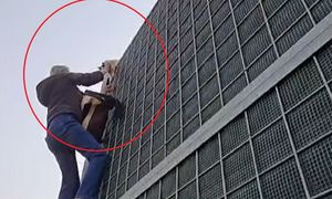 Tak uratowała kotkę z pułapki. Nagranie podbiło internet