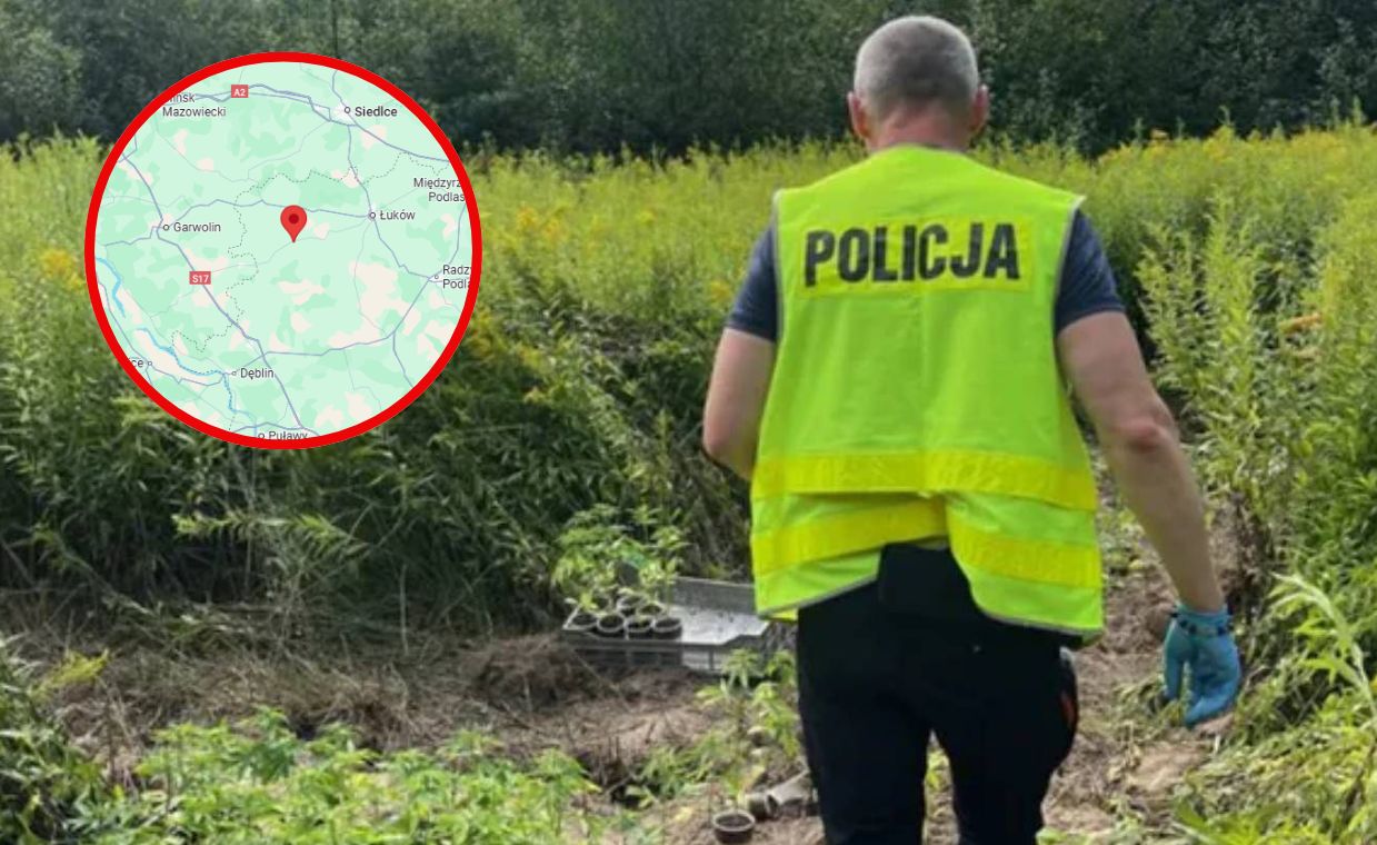 Tajemniczy obiekt na Lubelszczyźnie. Policja wydała komunikat