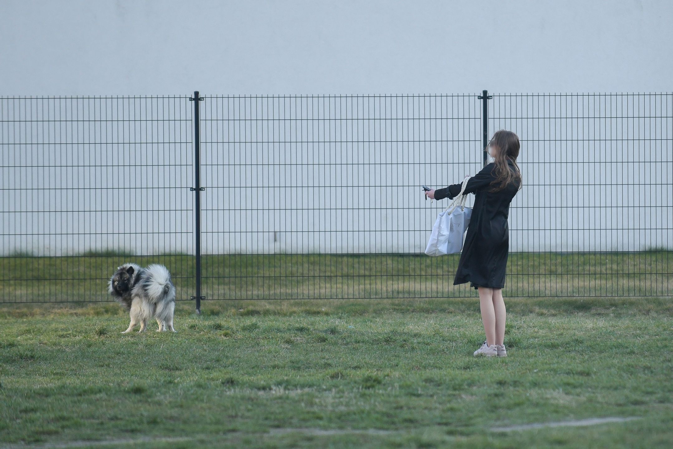 Kochanka Antka Królikowskiego wyprowadza psa na spacer