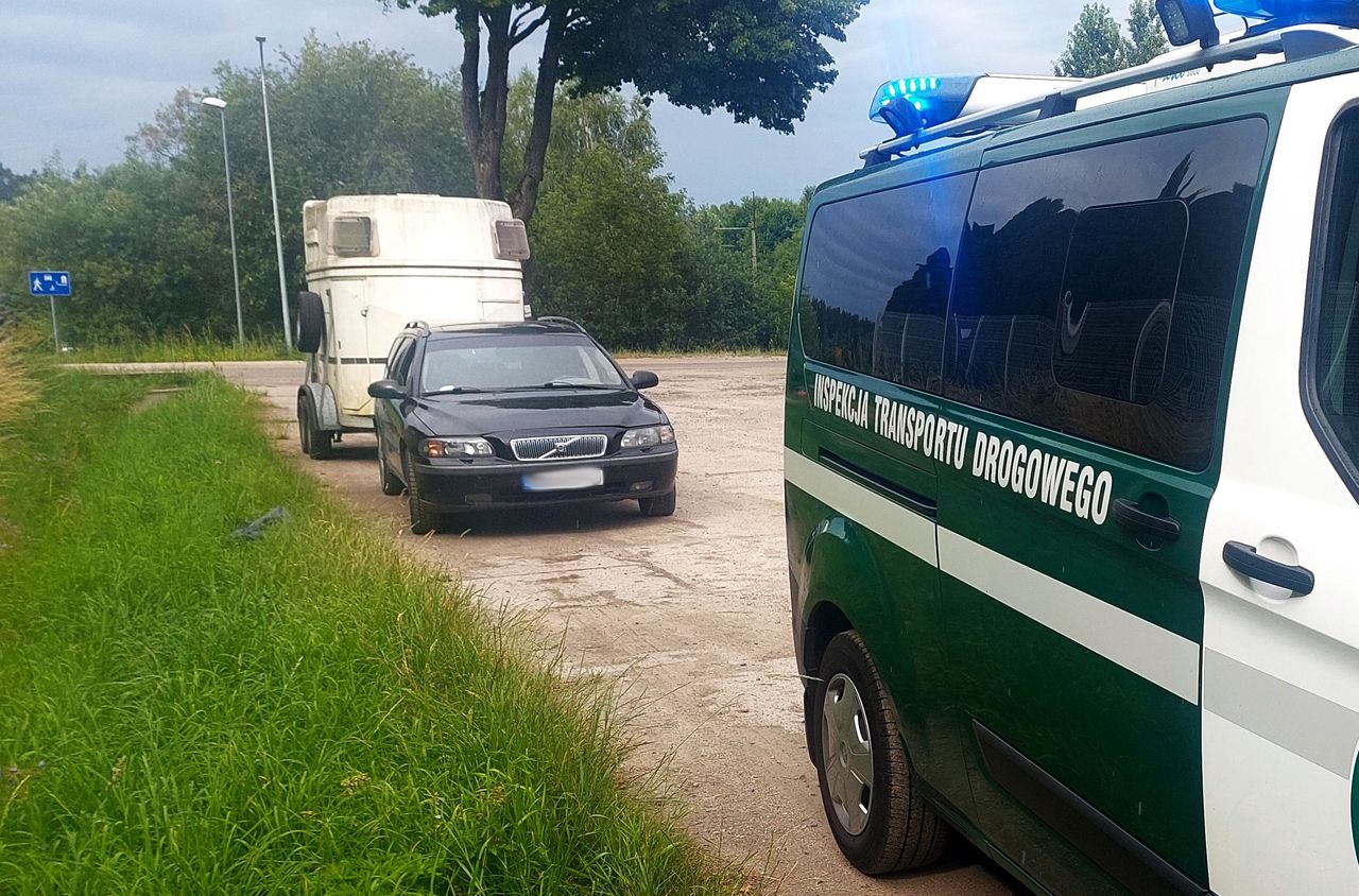 70 km/h poza miastem. W wakacje przepis jest szczególnie ważny