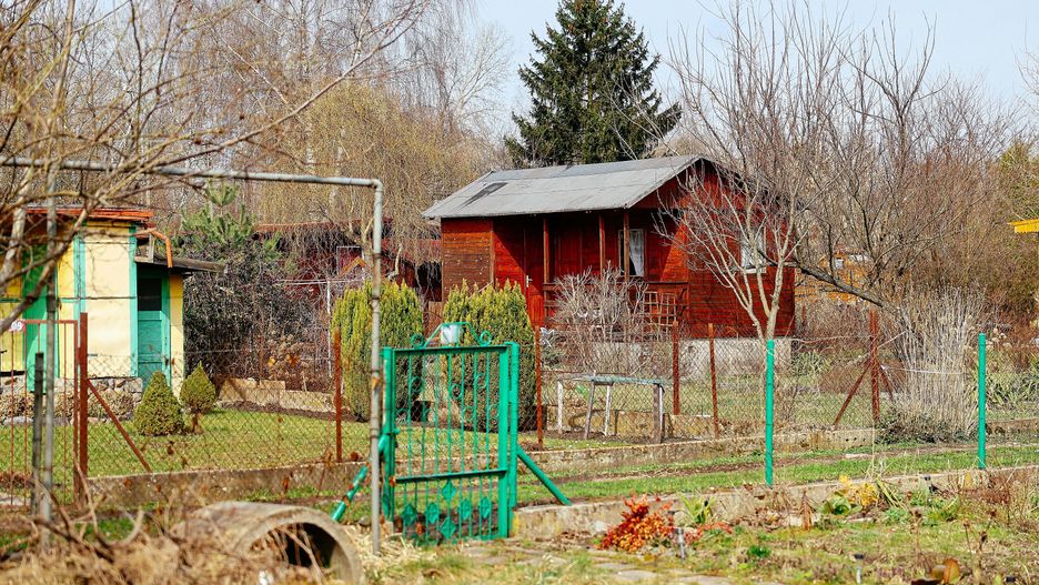 rod, ogródki działkowe