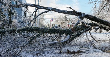 Mają 4 stopnie w domach. Tragiczne burze śnieżne w USA
