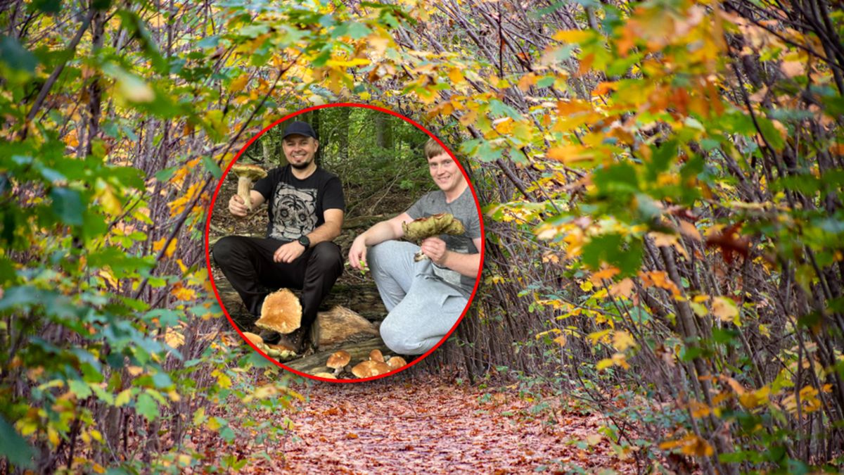 Znaleźli borowika, który ważył 2 kg.