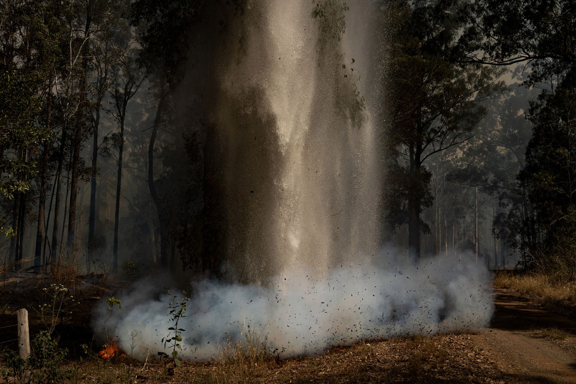 World Press Photo 2020: Yasuyoshi Chiba Fotografem Roku 2020 139
