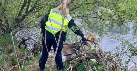 Nowogrodziec. Śmierć małego Kacperka wstrząsnęła całą Polską. Jego ojciec przyznał się do odurzenia narkotykami