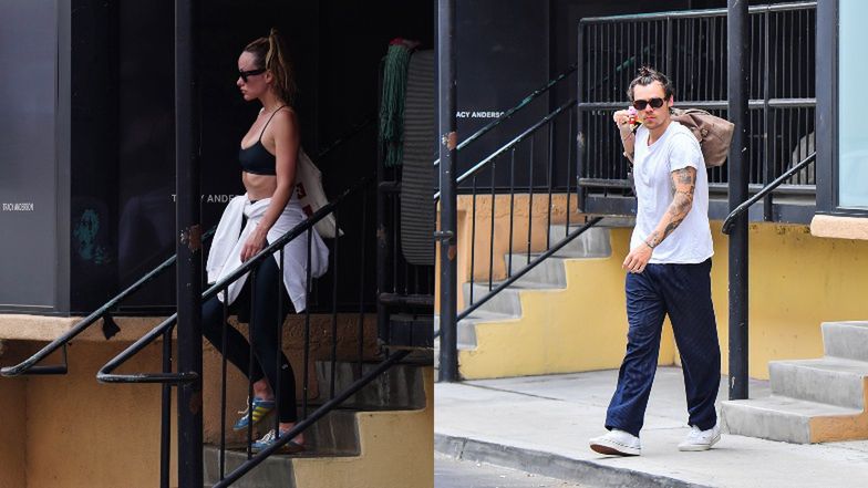 Olivia Wilde, Harry Styles