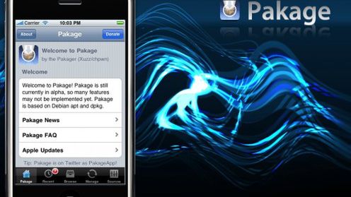 Pakage podzieli los Icy? 1