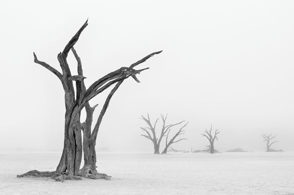 I miejsce w kategorii "Przyroda: Ziemia, Powietrze, Ogień, Woda - fotoreportaż" - mgła w Martwej Dolinie (Deadvlei) na pustyni Namib zdarza się tylko kilka razy w roku.