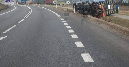 Kolizja na DK 19 w Radzyniu Podlaskim. Tir z drobiem wylądował w rowie