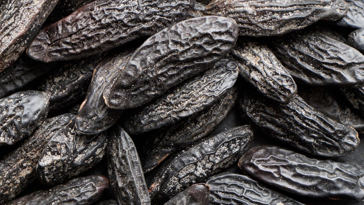 Fasola tonka jest zakazana w USA