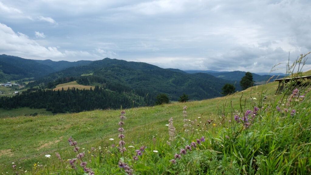 Lipnik w Słowacji - Przełęcz pod Tokarnią