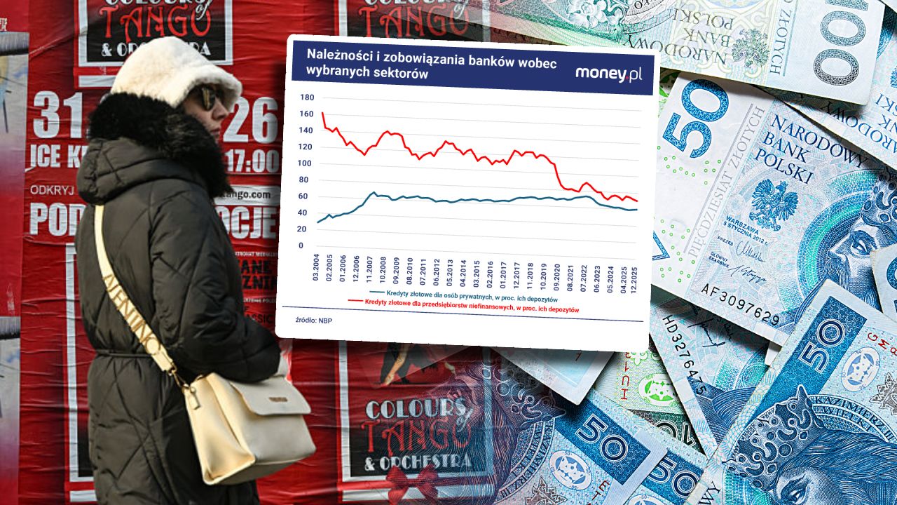 Kredyt w zaniku. Gospodarstwa domowe i firmy ograniczają zadłużenie [ANALIZA]