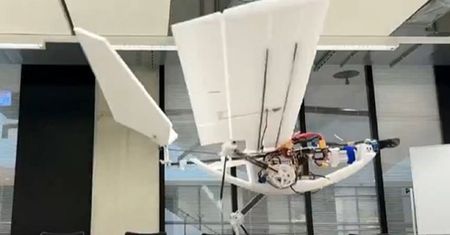 Dron inspirowany ptakami. Może chodzić i skakać