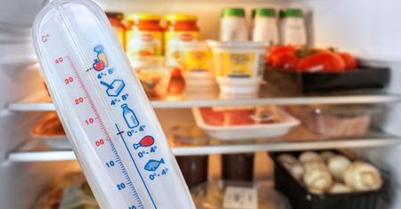 Jedzenie szybko się psuje? Zmień temperaturę w lodówce