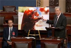 Ostrzega przed radioaktywnymi krewetkami w USA. "Tak możesz wyglądać"